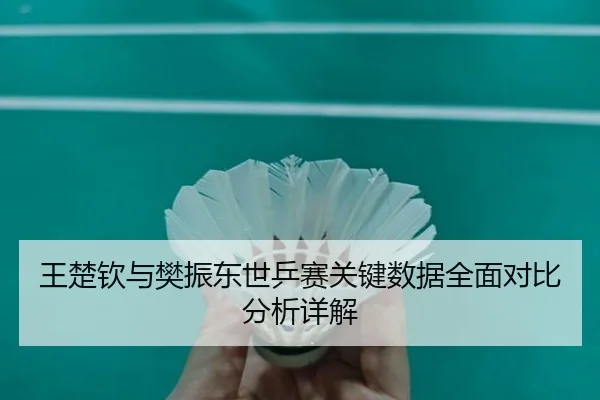 王楚钦与樊振东世乒赛关键数据全面对比分析详解（NG SPORTS）